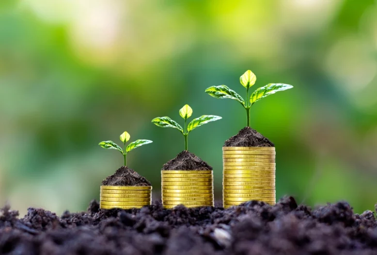 Debt-Free-Ensuring-financial-stability Debt-Free-Ensuring-financial-stability